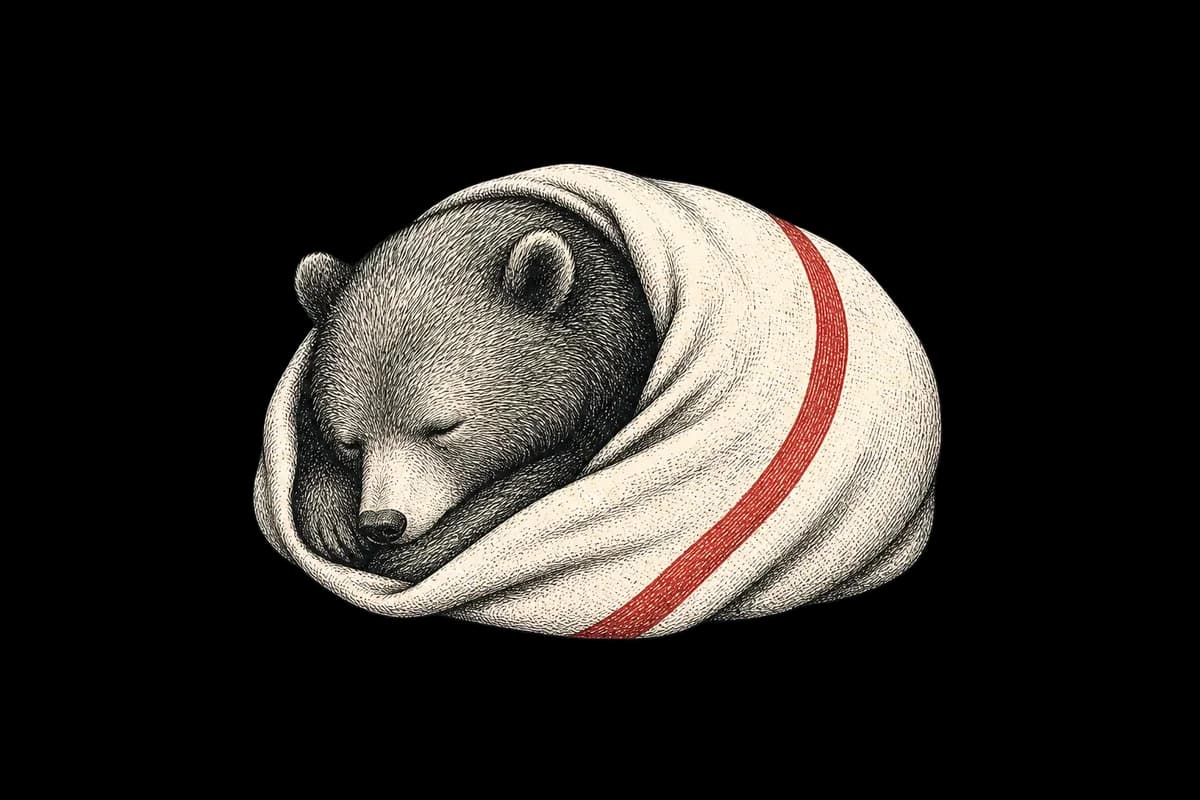 A bear sleeping soundly, curled up in a cream towel with a red stripe